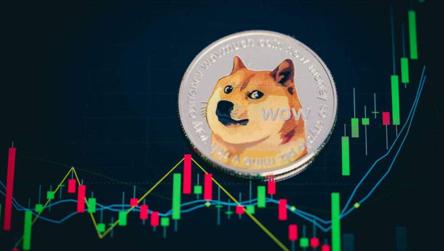 柴犬币能涨到多少钱，柴犬币从发行到现在涨了多少倍