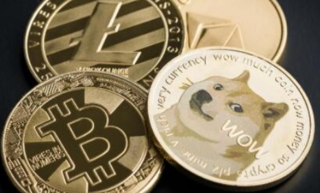 查狗狗币今天价格多少钱，查狗狗币今天价格多少钱一只