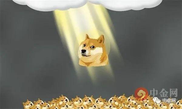 狗狗币在哪可以买到，狗狗币在哪可以买到啊
