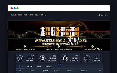 各大币交易所网站，大币网是哪里的交易所