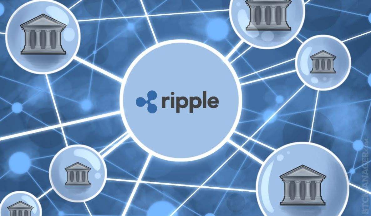 xrp币未来前景，xrp币未来前景如何