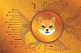 波卡生态币会爆发吗，波卡生态项目是真的么