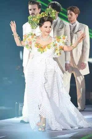 戴维夫人，黛薇夫人图片