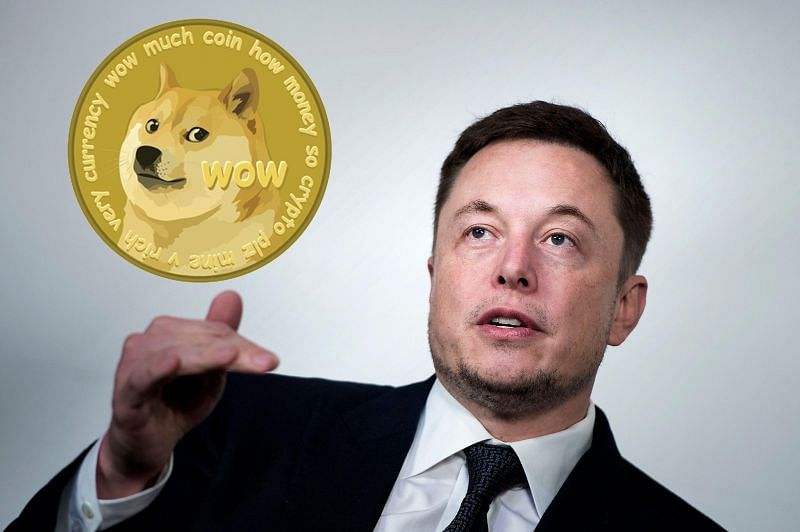 狗狗币上涨逻辑，狗狗币的上涨逻辑