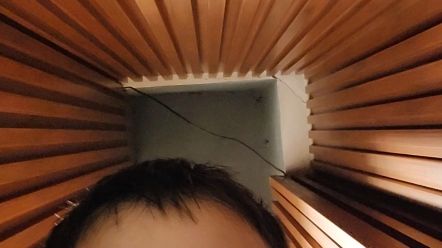 李桐，李桐轩