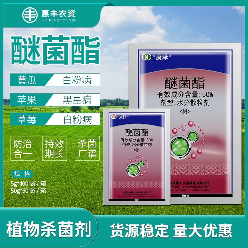 康泽，康泽与蒋介石父子