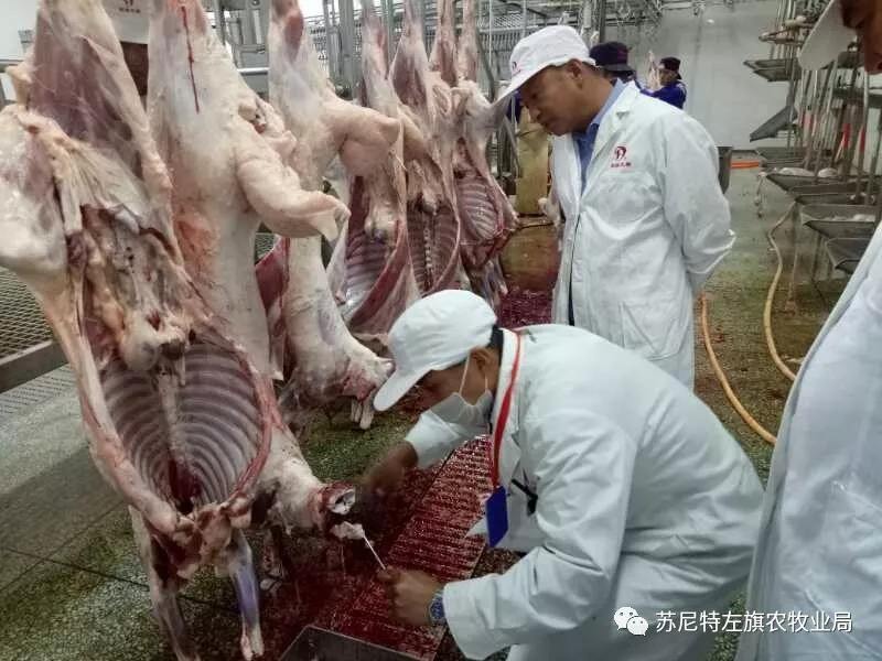 中国十大屠户屠宰菜品揭晓，中国十大屠户屠宰菜品揭晓视频