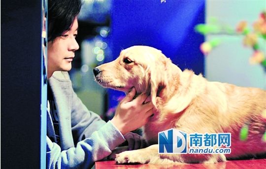 张嘉佳微博，张嘉佳微博33个故事下载