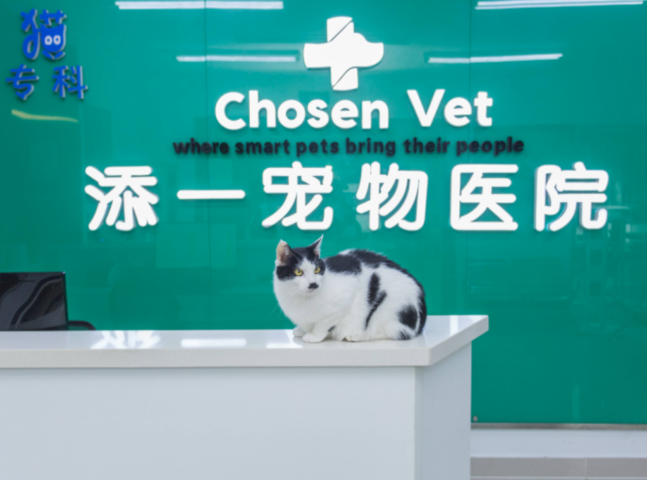 王海桐，桐柏王明海