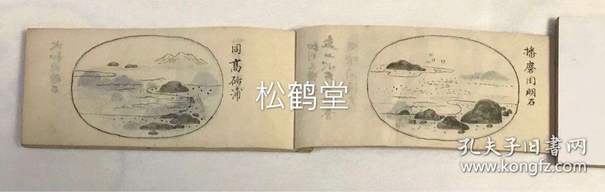 关于细川典江的信息