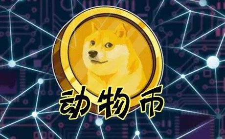 今天柴犬币，柴犬币时时价格