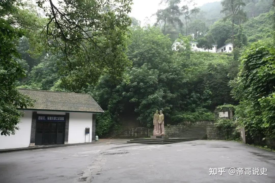 杨拯中，杨拯中宋振中