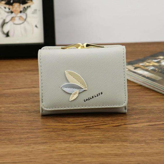大大币钱包，大钱包app