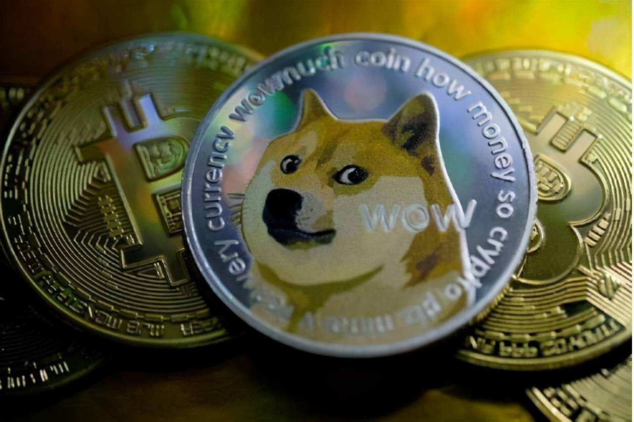 买一个狗狗币多少钱，买一个狗狗币多少钱合适