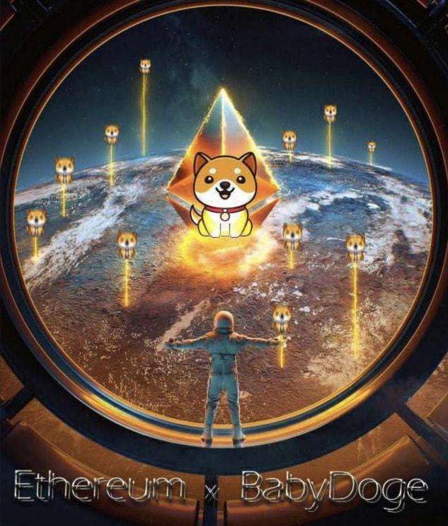 狗币手提包，狗狗币可以提到哪个钱包