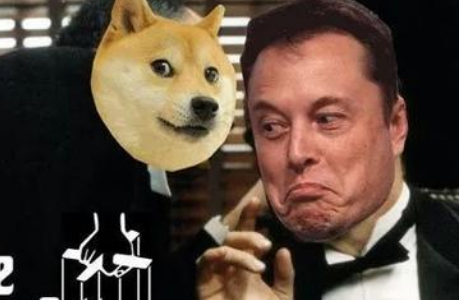 狗狗币又涨了！，狗狗币怎么又涨了