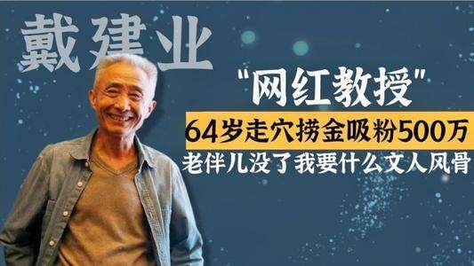 戴建业简介，戴建业出生年月