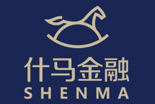 什币网，什币网新网站