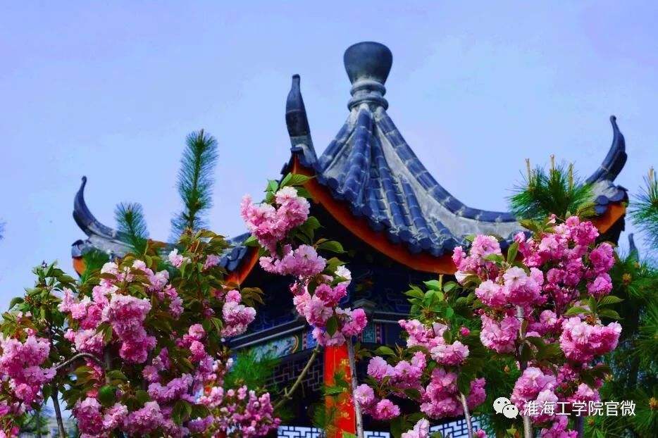 关于江泽惠的信息