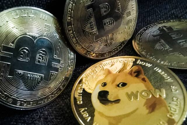柴犬币价格走势行情，柴犬币最新价格走势图分析