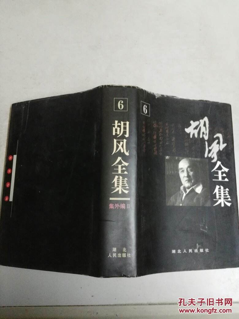 胡风简介的简单介绍