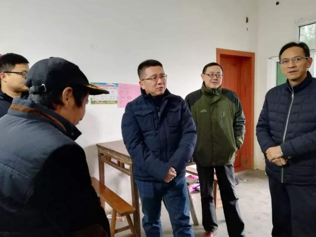 王丰，王丰念什么字