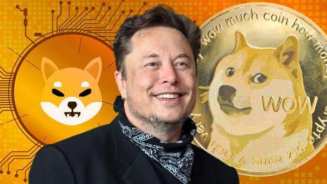 狗狗币是特斯拉出的吗，狗狗币是特斯拉出的吗是真的吗