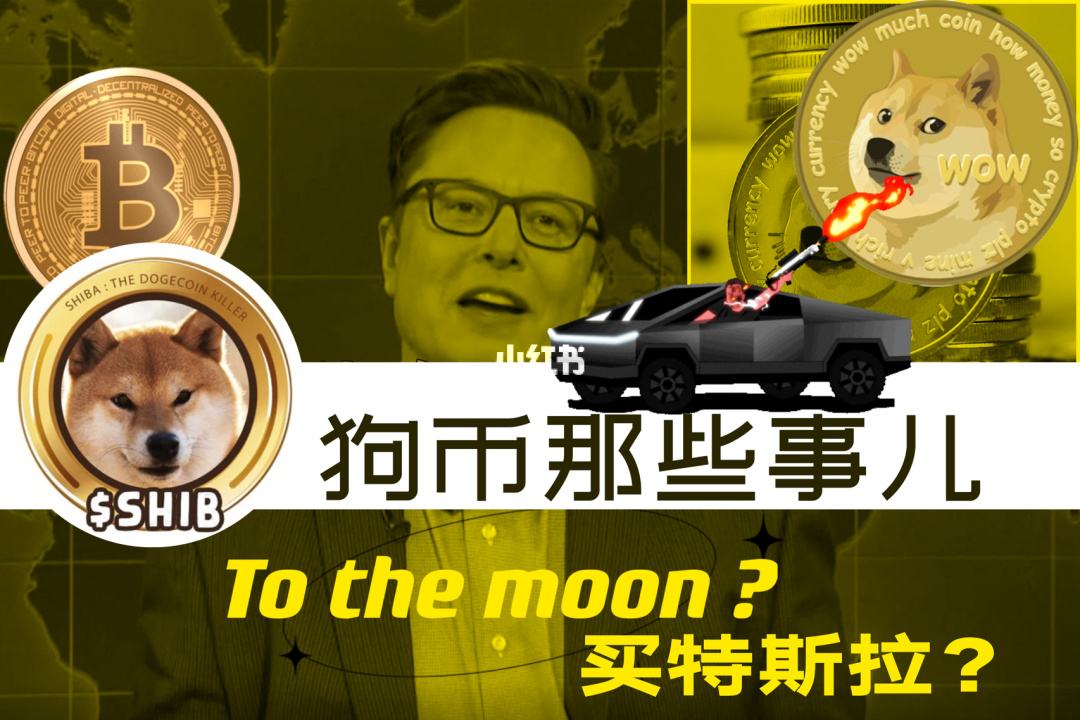 狗狗币每年的价格，2017年狗狗币的价格