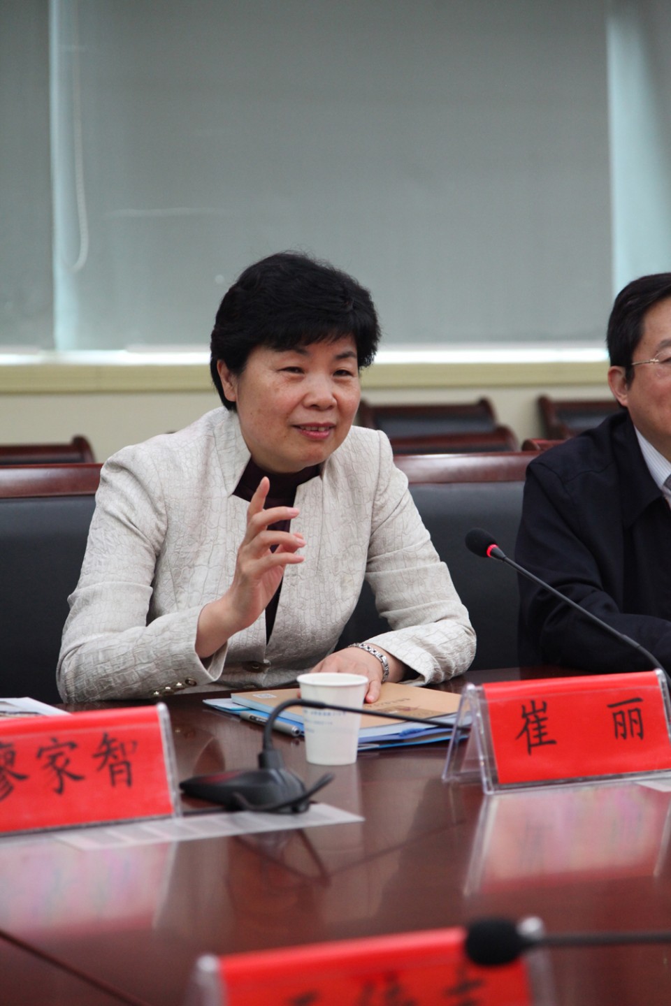 关于崔丽的信息