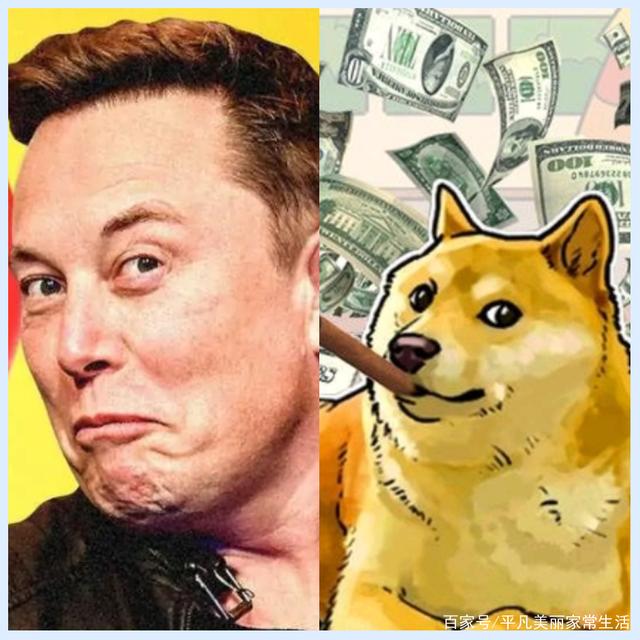 柴犬币暴涨的原因的简单介绍