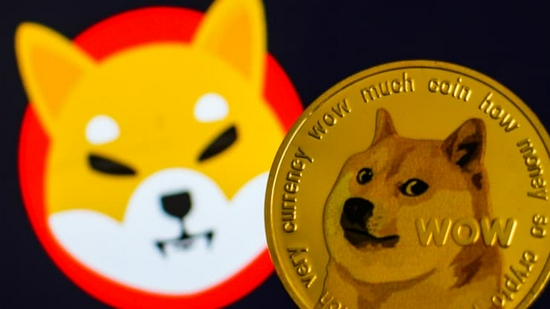 柴犬币上线，柴犬币上线价格