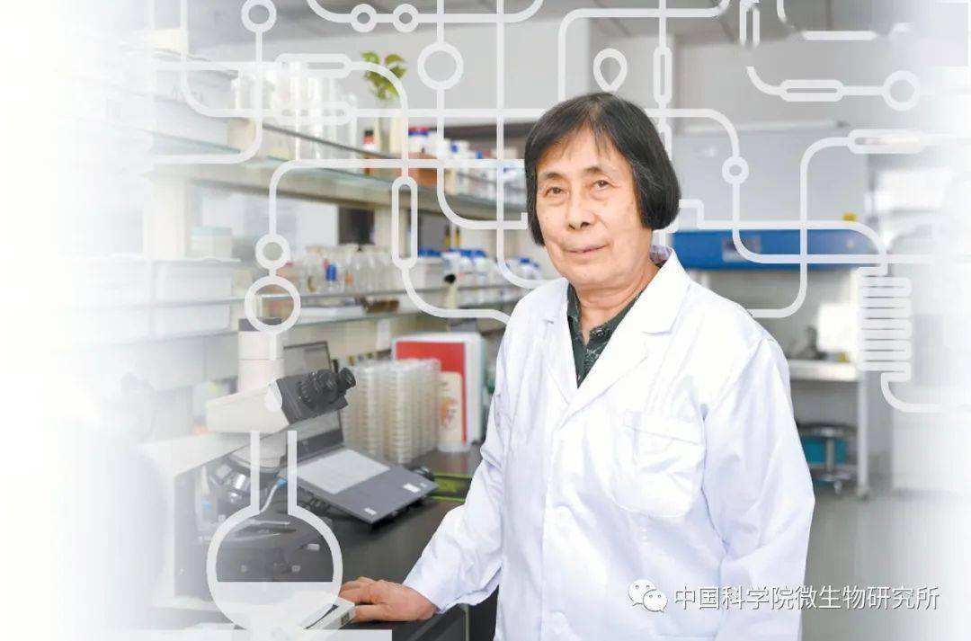 庄文颖，庄文颖让你感动的原因