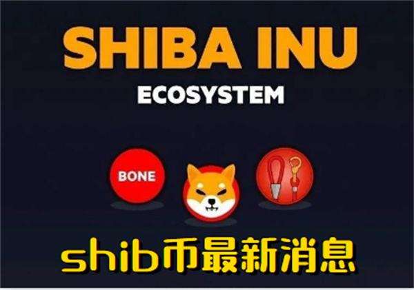 关于shib币价格今日行情币币情的信息