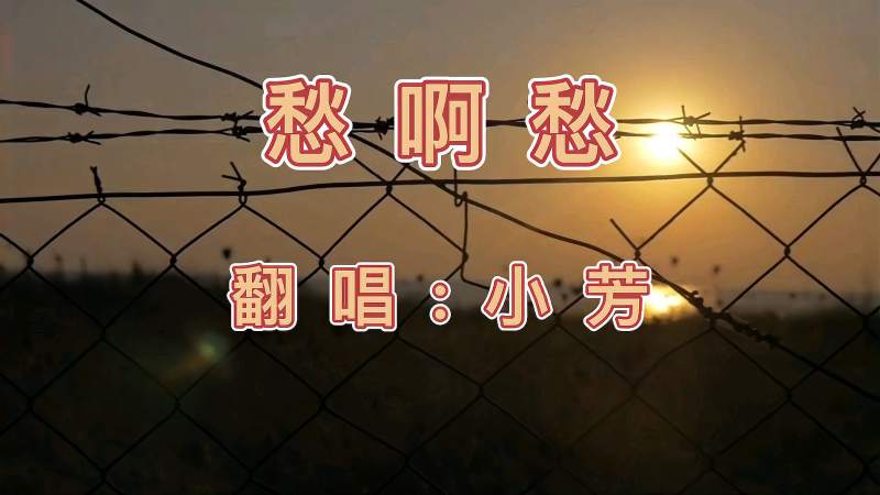 80年代的歌曲，杨钰莹80年代的歌曲