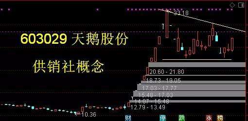 关于财供销社6月1日信息时报的信息