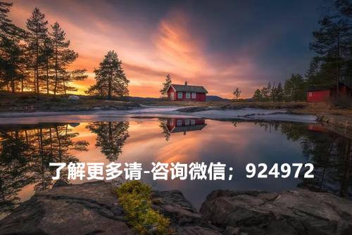 小蚂蚁是什么币，小蚂蚁是什么币种