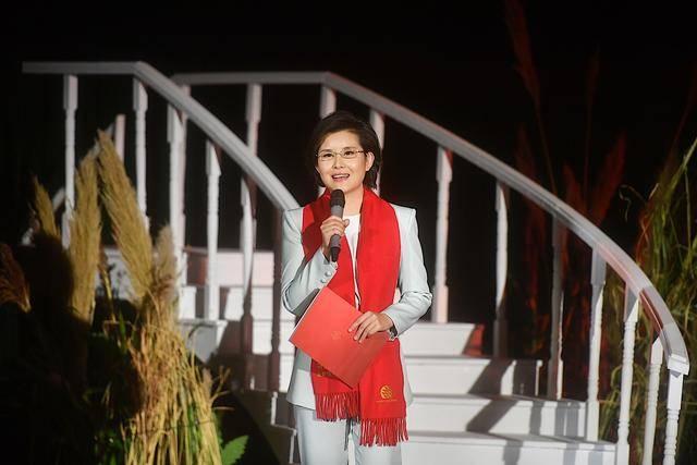 中央电视台王宁，中央电视台王宁女主持人