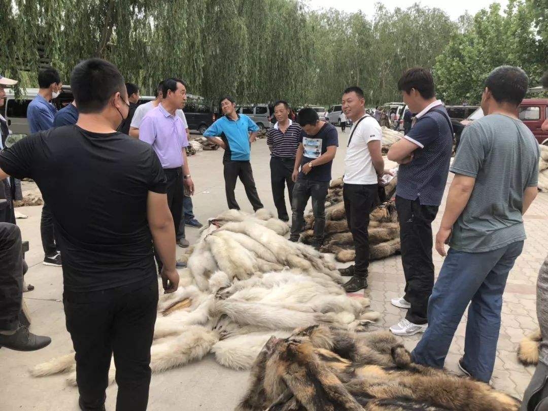 狐狸皮最新市场行情，2019年狐狸皮行情