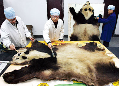 皮图，批图修图