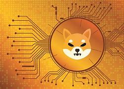 波卡币最新价格行情，波卡币最新价格行情走势图