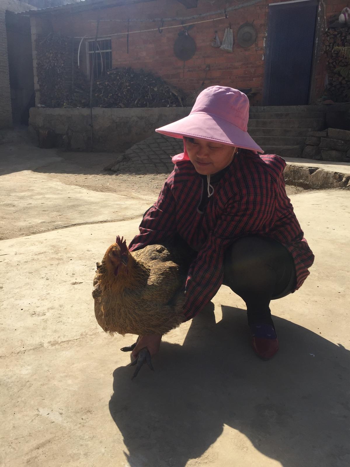 梦见自己杀鸡，做梦梦见杀鸡吃是什么意思
