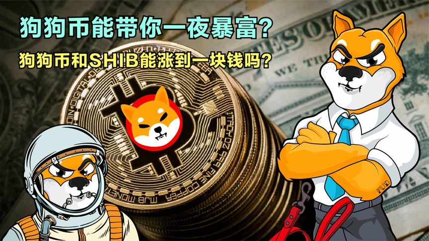 屎币爆涨原因，屎币爆涨原因是什么
