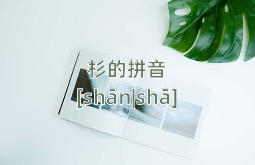 杉怎么组词，杉组词 二年级