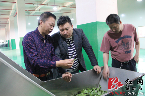 方凯老师，吴鹏凯老师