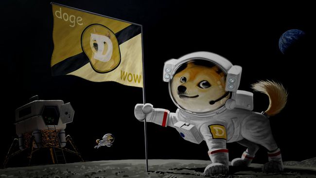 关于今天狗狗币最新消息的信息