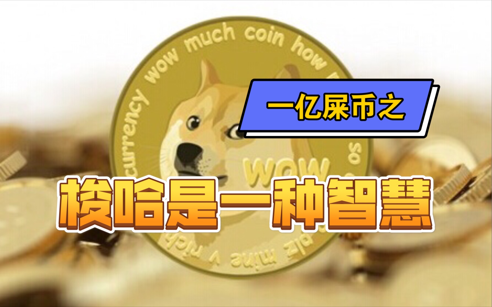 屎币最新资讯，shib币屎币最新消息