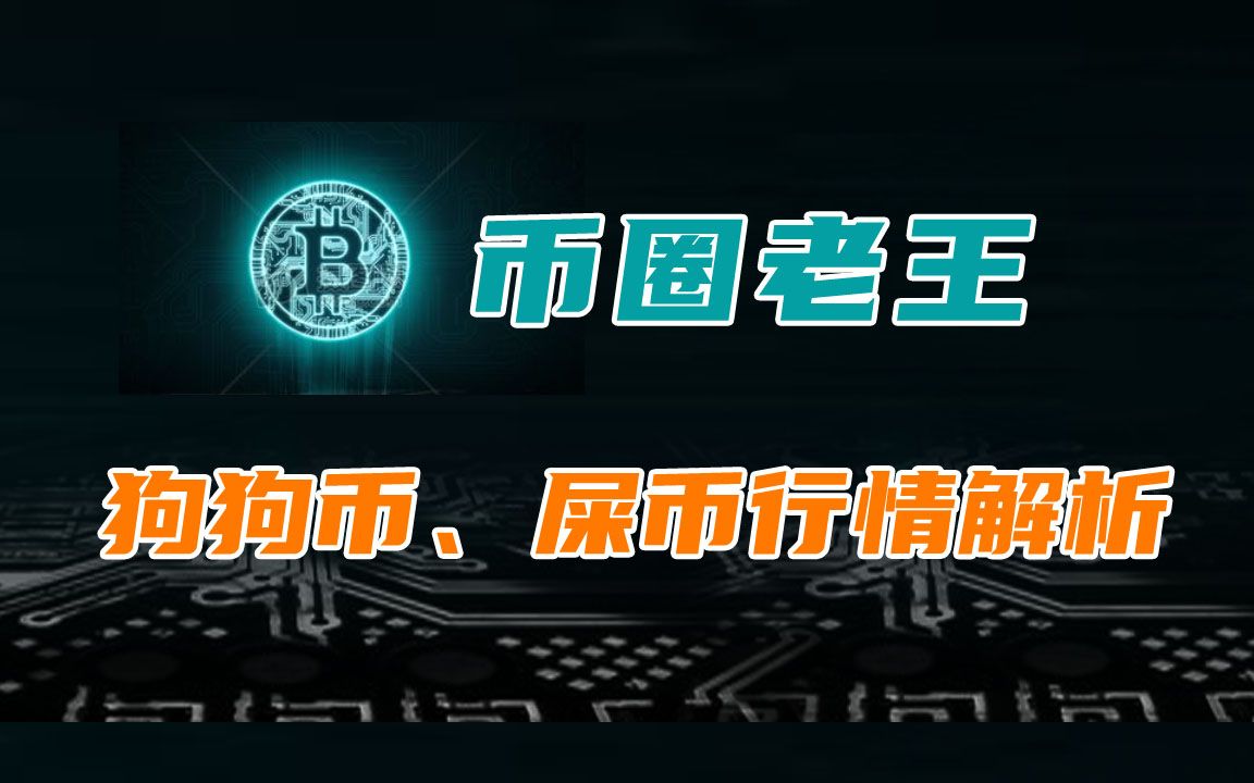 屎币最新资讯，shib币屎币最新消息