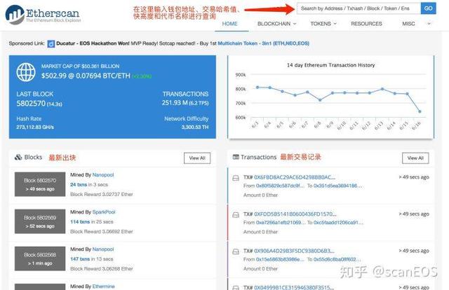 查看区块链币的网站，查看区块链币的网站是什么
