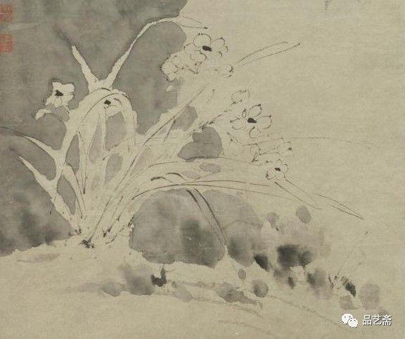 青藤白阳，青藤白阳中的青藤是指