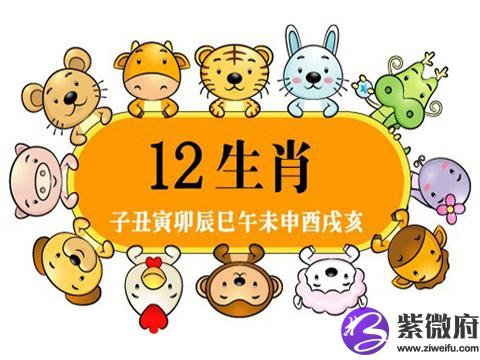 周岁和虚岁怎么算，周岁和虚岁有什么区别